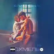 Постер книги Похмелье