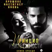 Постер книги Принцип неизбежности