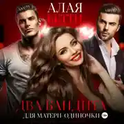 Постер книги Два бандита для матери-одиночки