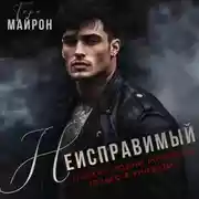 Постер книги Неисправимый