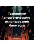 Юрий Почанин - Технологии энергетического использования биомассы