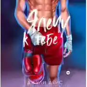 Постер книги Я лечу к тебе