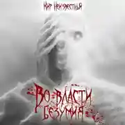 Постер книги Во власти безумия