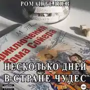 Постер книги Несколько дней в стране чудес