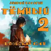 Постер книги Тёмный 2: В поисках Дзен