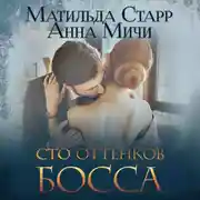 Постер книги Сто оттенков босса
