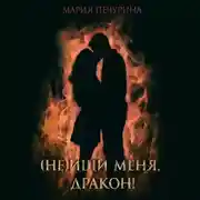 Постер книги (Не) ищи меня, дракон!