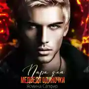 Постер книги Пара для медведя одиночки