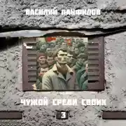 Постер книги Чужой среди своих 3