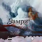 Постер книги Замри