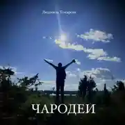 Постер книги Чародеи
