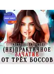Светлана Белоусова - (Не)практичное зачатие от трёх боссов