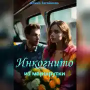 Постер книги Инкогнито из маршрутки