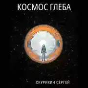 Постер книги Космос Глеба