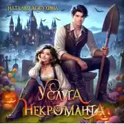 Постер книги Услуга некроманта
