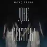 Постер книги Две сестры