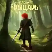 Постер книги Маленький рыцарь