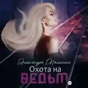 Постер книги Охота на Ведьм