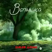 Постер книги Вспышка