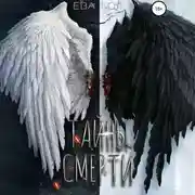 Постер книги Тайны смерти