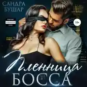 Постер книги Пленница босса
