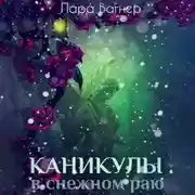 Постер книги Каникулы в снежном раю