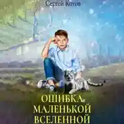 Постер книги Ошибка маленькой вселенной
