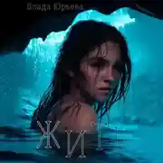 Постер книги Жить