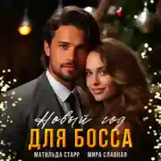 Постер книги Новый год для босса