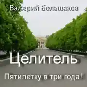Постер книги Целитель. Пятилетку в три года!
