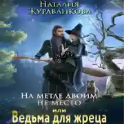 Постер книги На метле двоим не место, или Ведьма для жреца