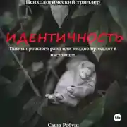 Постер книги Идентичность