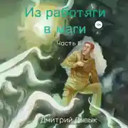 Постер книги Из работяги в маги. Часть 2