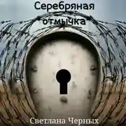 Постер книги Серебряная отмычка