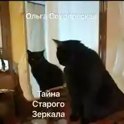 Постер книги Тайна старого зеркала