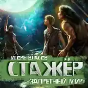 Постер книги Стажёр