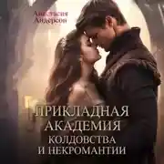 Постер книги Прикладная академия колдовства и некромантии