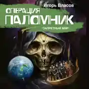 Постер книги Операция Паломник