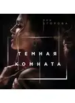Яна Егорова - Темная комната