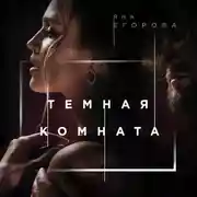 Постер книги Темная комната