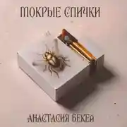 Постер книги Мокрые спички