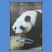 Постер книги Как медведь Панда себе невесту выбирал
