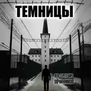 Постер книги Темницы