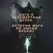 Постер книги Сага о бессмертных духах. История мага по имени Прокис