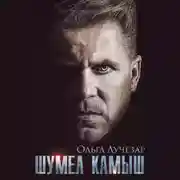 Постер книги Шумел Камыш