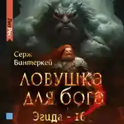 Постер книги Ловушка для бога