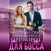 Постер книги Приворот для босса