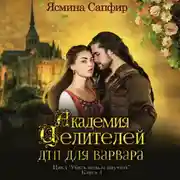 Постер книги Академия целителей. ДТП для варвара