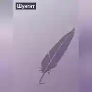 Постер книги Шунгит