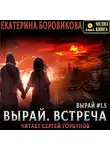 Екатерина Боровикова - Вырай 1.5. Встреча